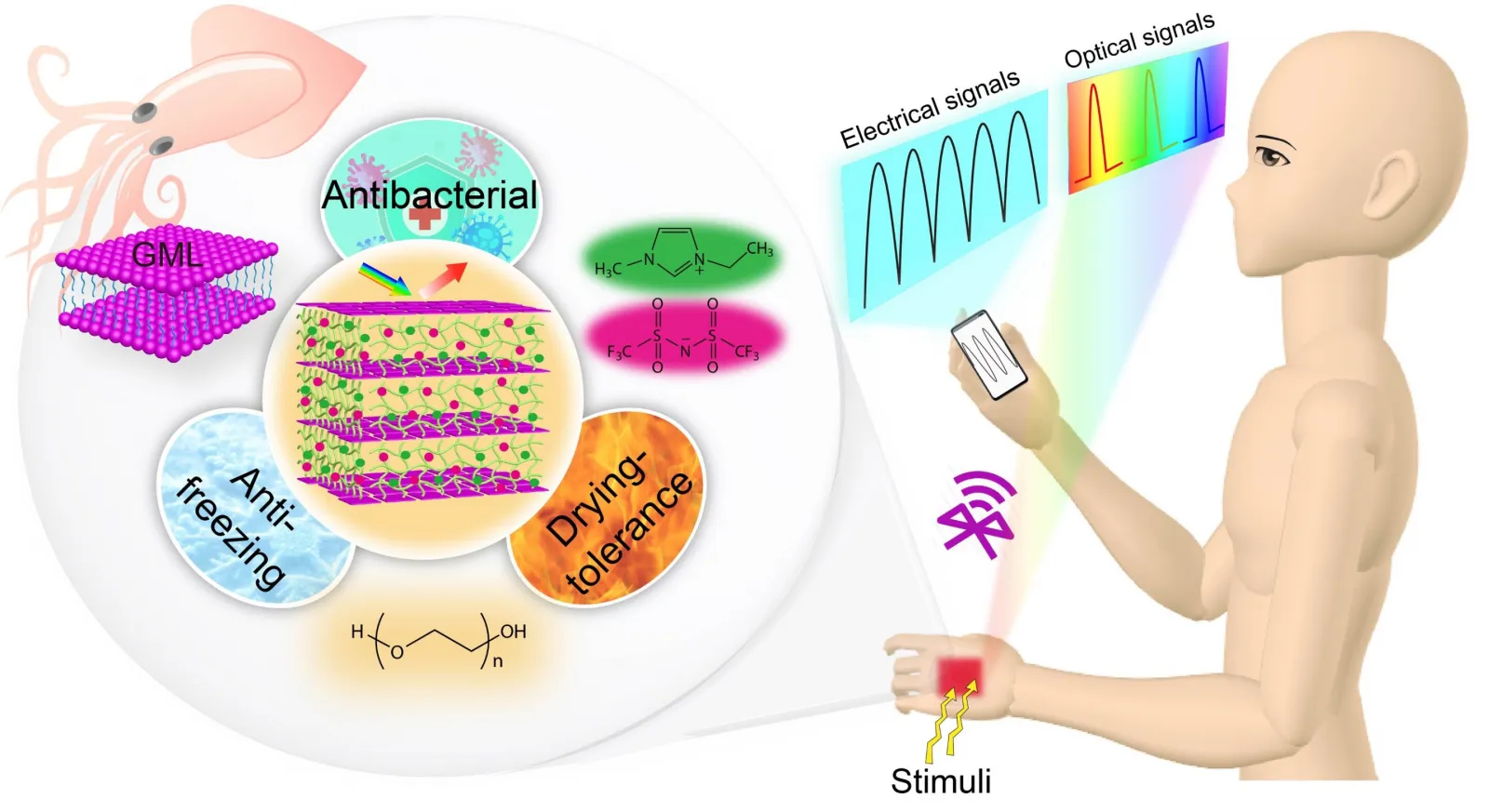 Концептуальная схема биомиметической кожи.