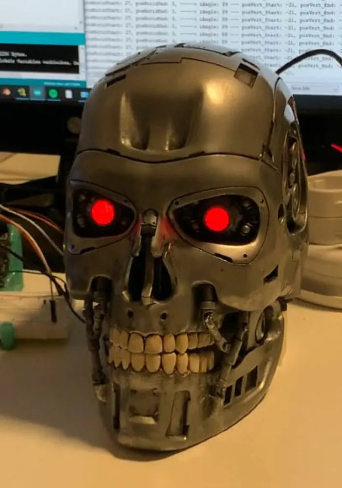 «Сделал голову Терминатора с помощью 3D-принтера».