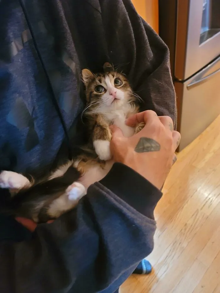 «Забрал эту маленькую конфетку из приюта».