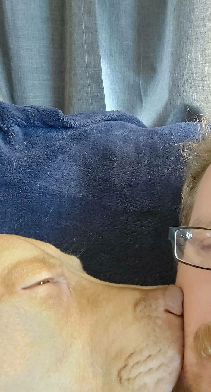 «Несколько недель назад усыновил этого парня. Но не отходит от меня ни на шаг, но я не против».