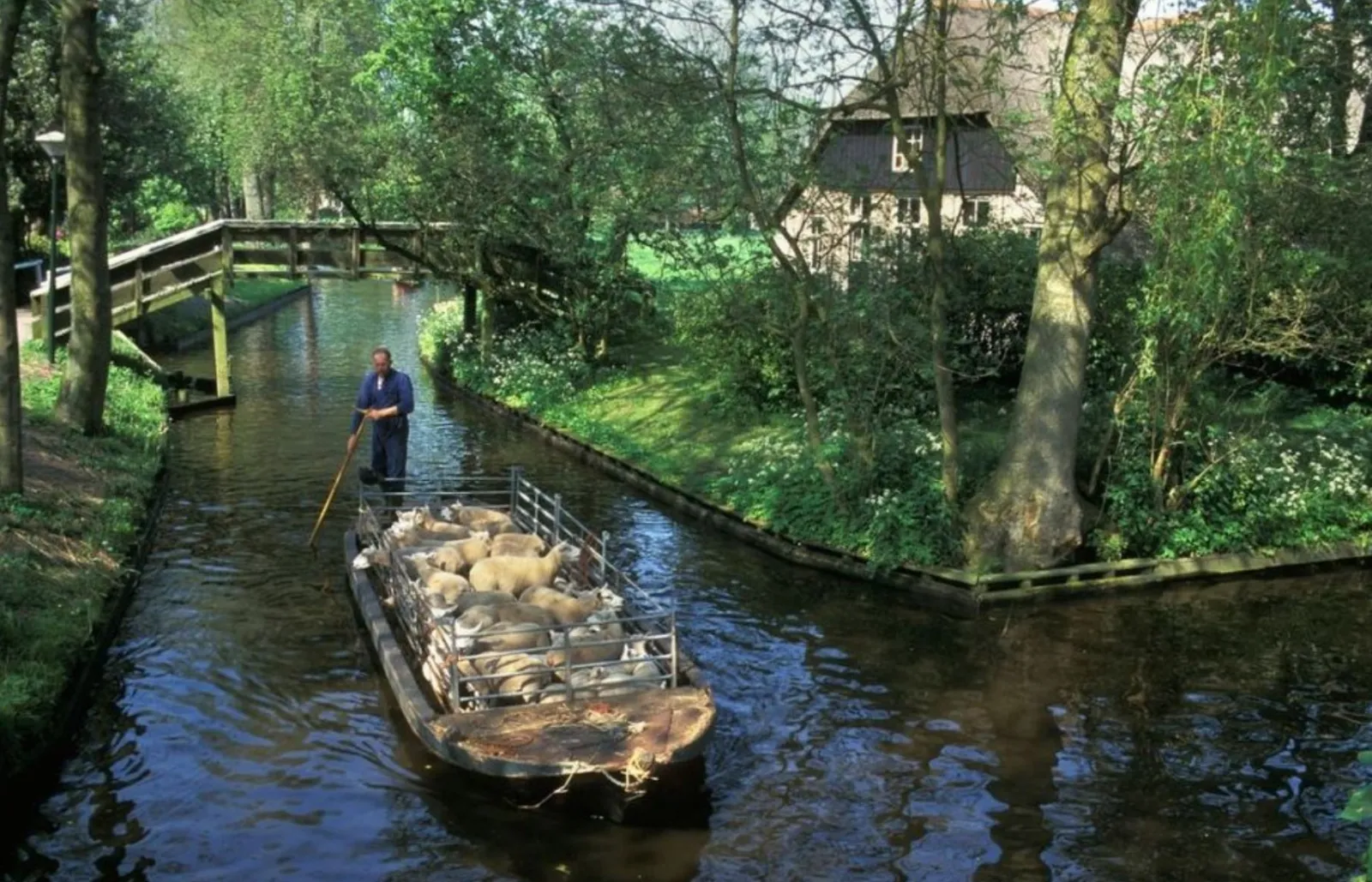 Название Гитхорн означает «рога козла». Первые жители обнаружили сотни козьих рогов на земле, на которой сейчас построена община.