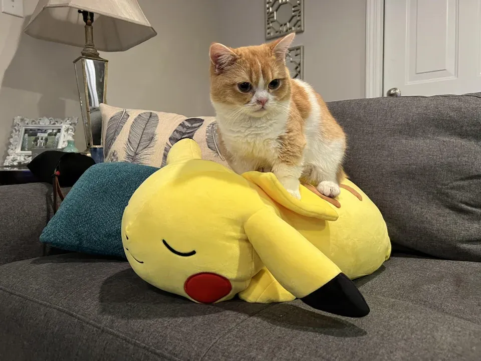 «Мой мальчик, едущий на бой на своем верном коне».