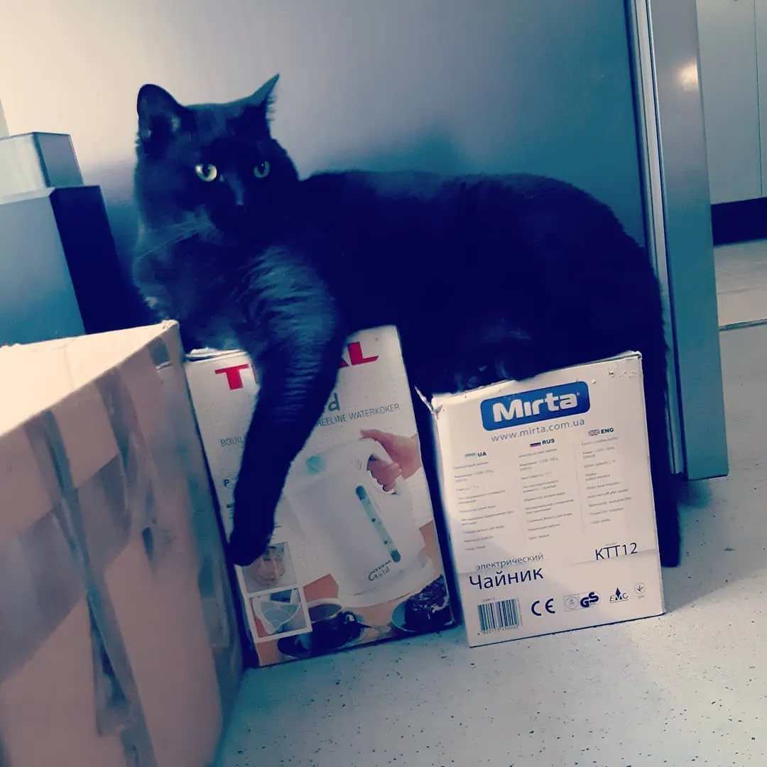 «Ведь в нашем доме нет более ровного и удобного места».