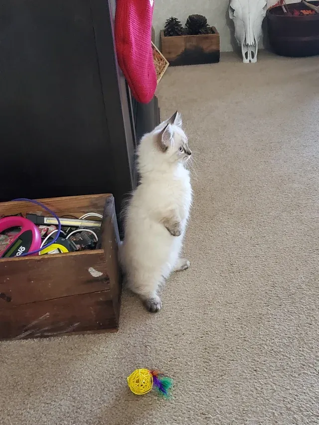 «Что это было?»