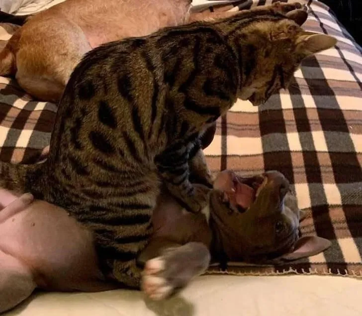 «Они мирно спали всего три минуты назад».