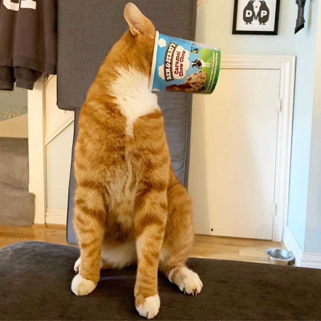 Просто последние капли мороженого самые вкусные.