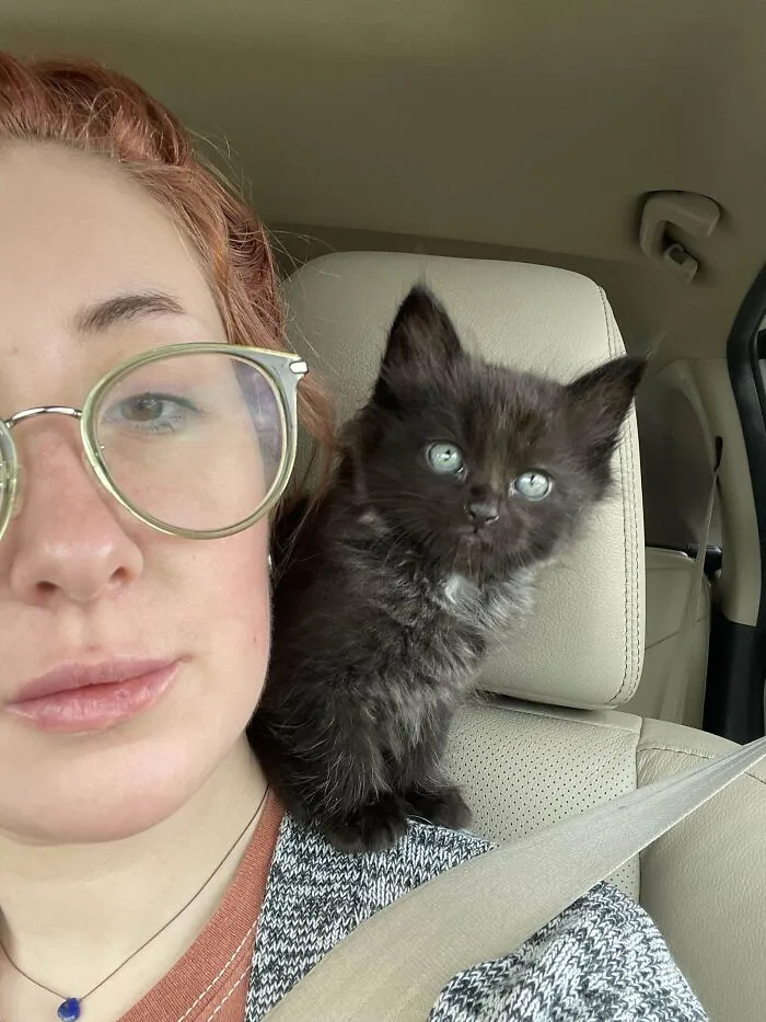 «Саймона никто не хотел забирать, потому что он слишком маленький. Но по-моему он идеален».