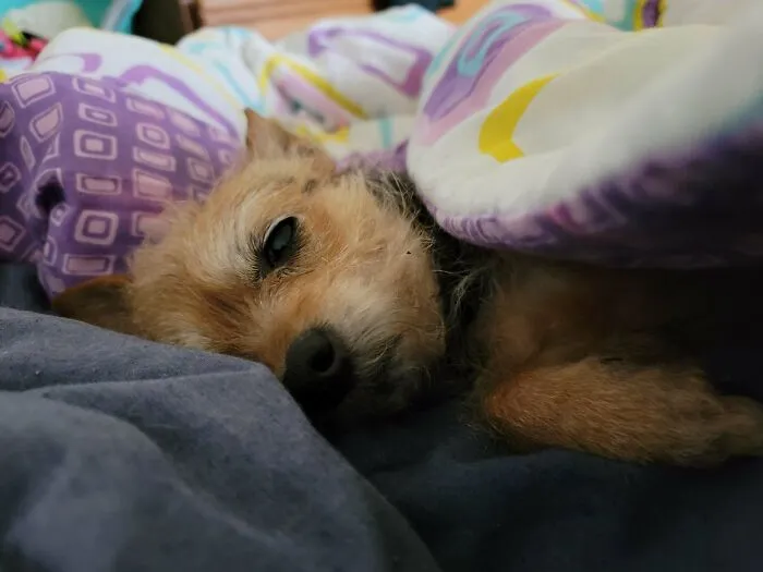 «Моя новая 15-летняя подружка».