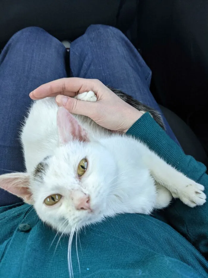 «Когда понял, что никогда больше не будешь мерзнуть и голодать».