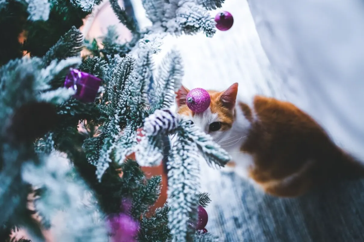 Заграждения помогут защитить елку или другой предмет от излишнего любопытсва питомца.