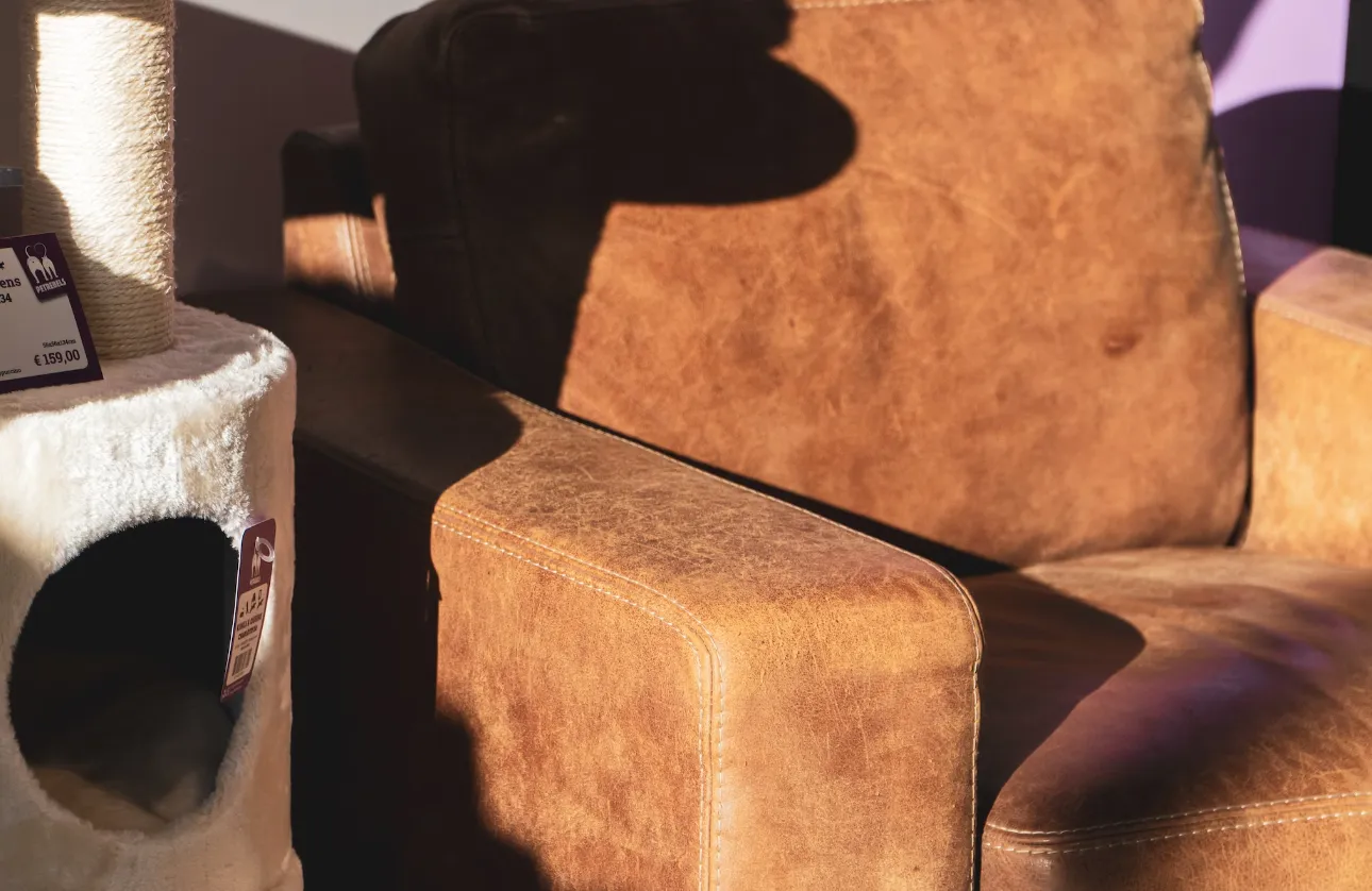 Когтеточку лучше установить рядом с мебелью.© unsplash.com