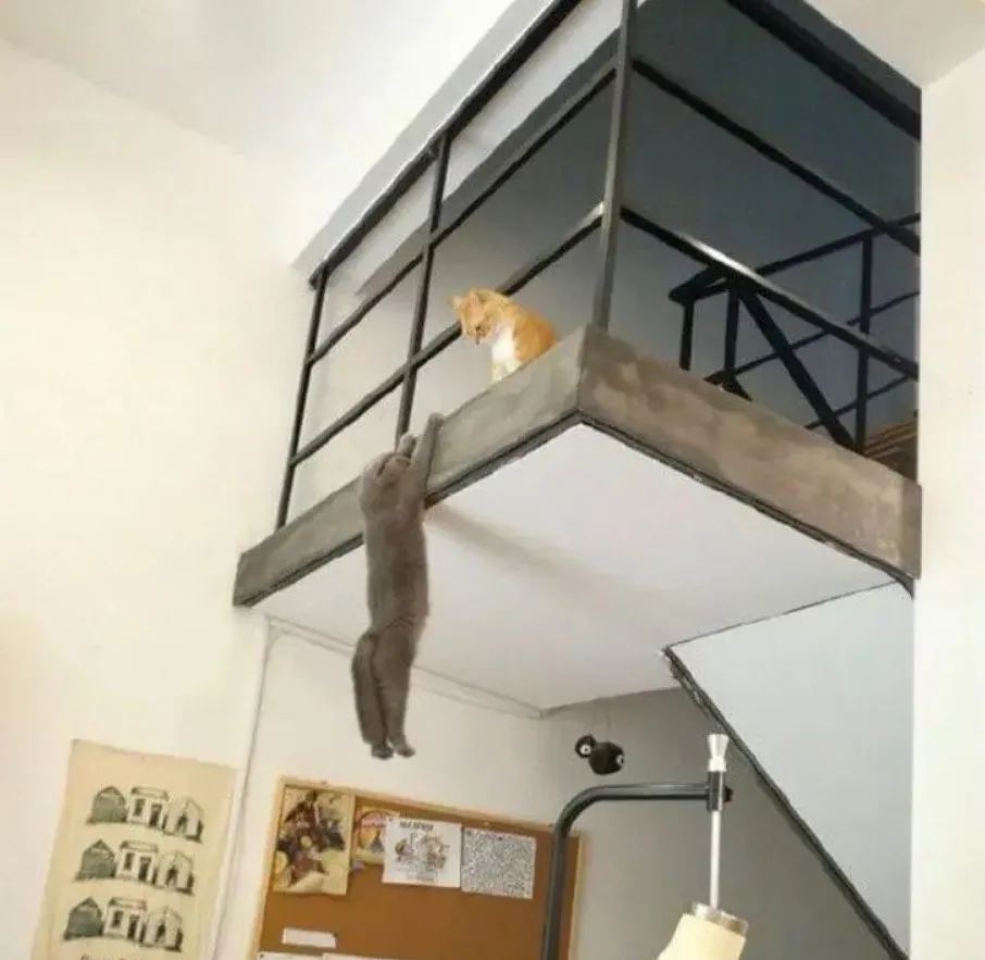 «Прощай, Муфаса. Я теперь король».