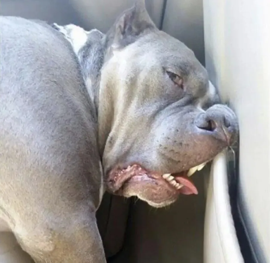 Как можно так лежать?