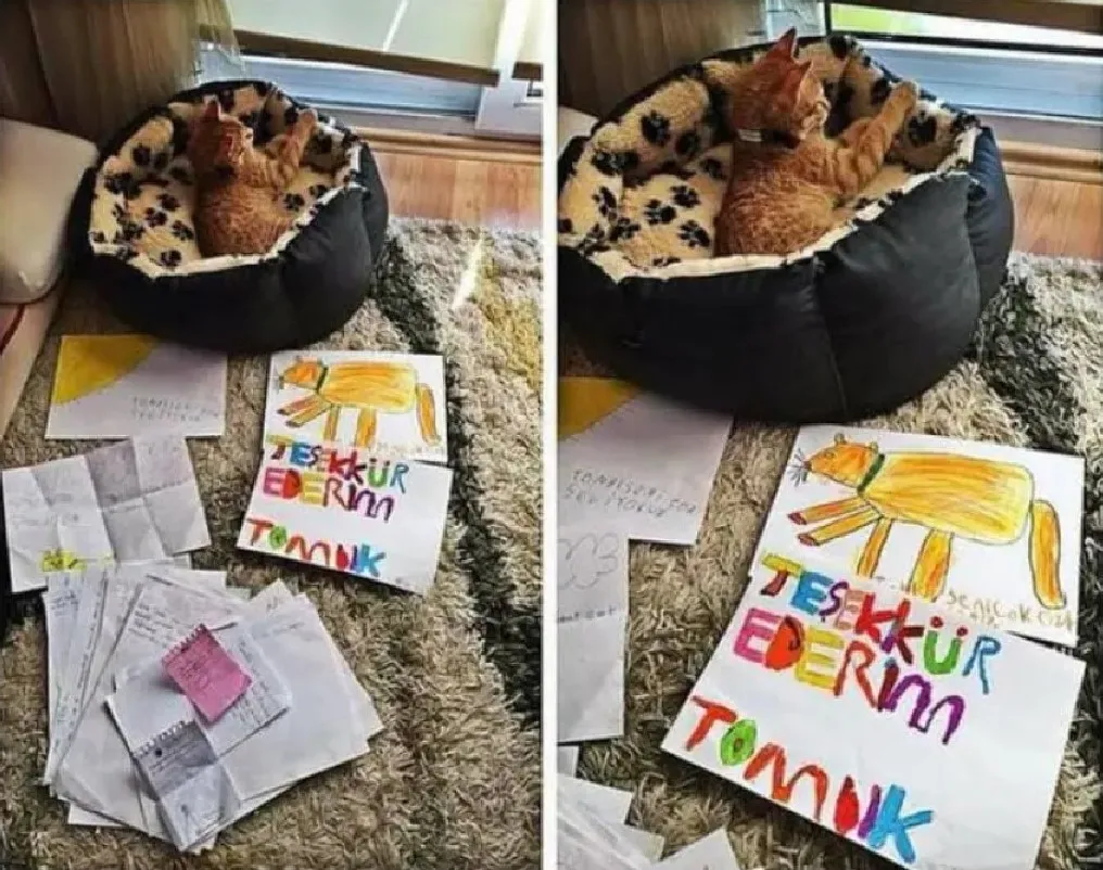 Пока Томби не было в классе, многие дети присылали учительнице свои рисунки и письма, чтобы показать, как сильно они хотят, чтобы он вернулся.