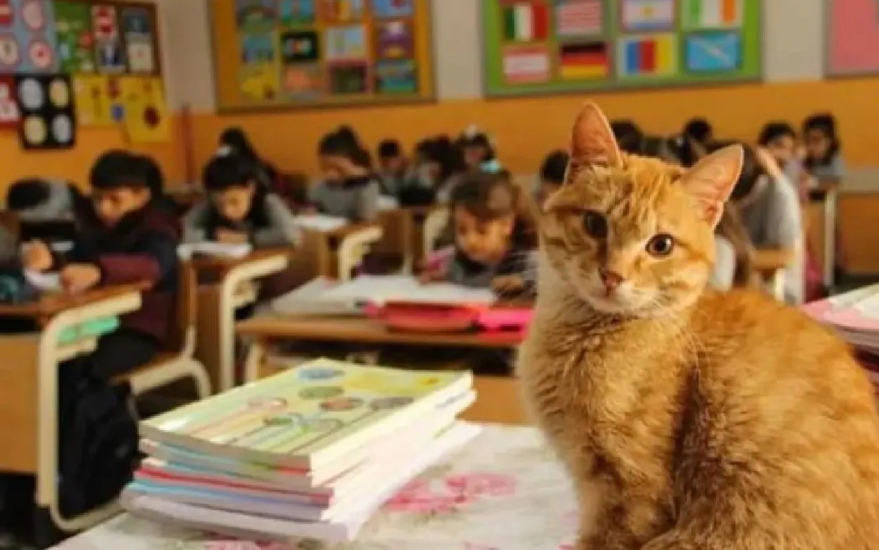 В конце концов школьники и их любимый рыжий друг снова воссоединились.