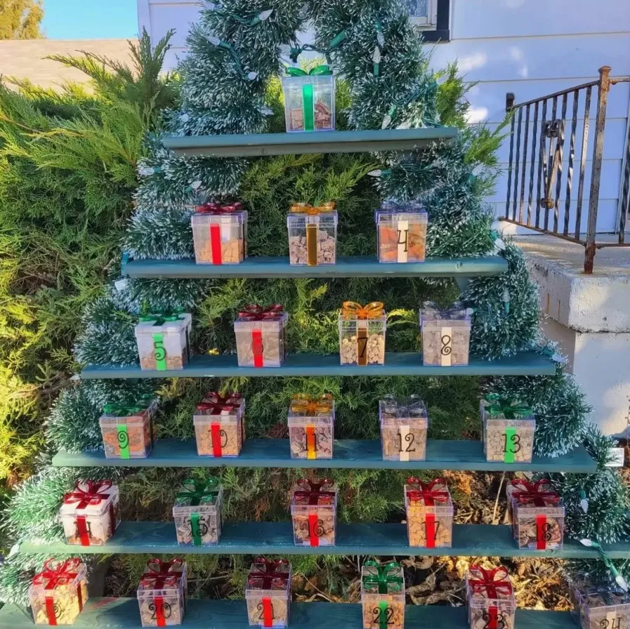 Адвент-календарь для собак.