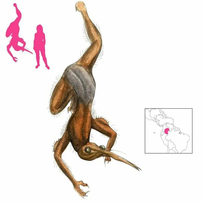 Абухуку — волосатый зловонный огр с лицом на затылке родом из фольклора Колумбии. Он пробивает дыру в черепе своей жертвы, затем высасывает содержимое тела и оставляет на ветке кожу жертвы.