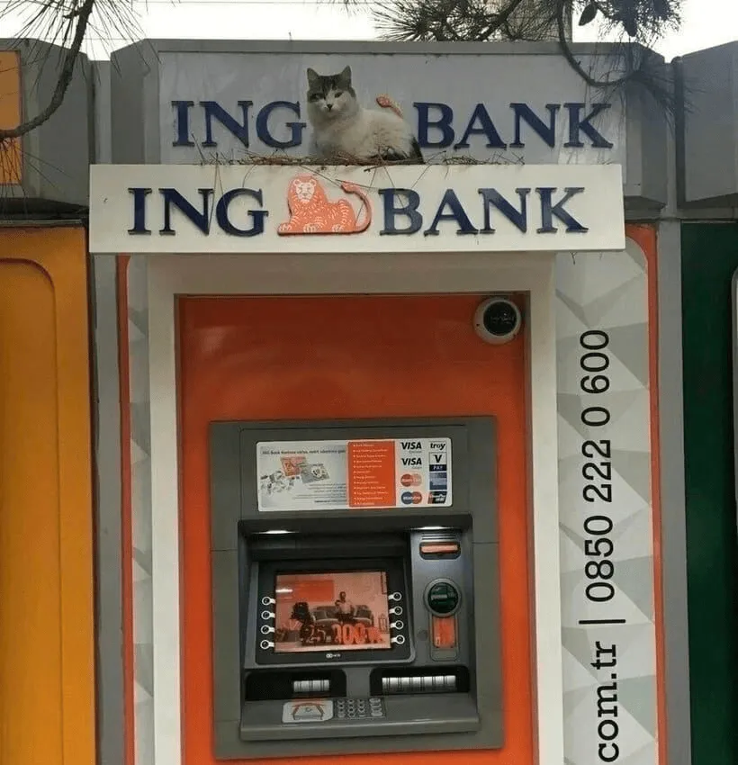 Он явно знал, что делает.