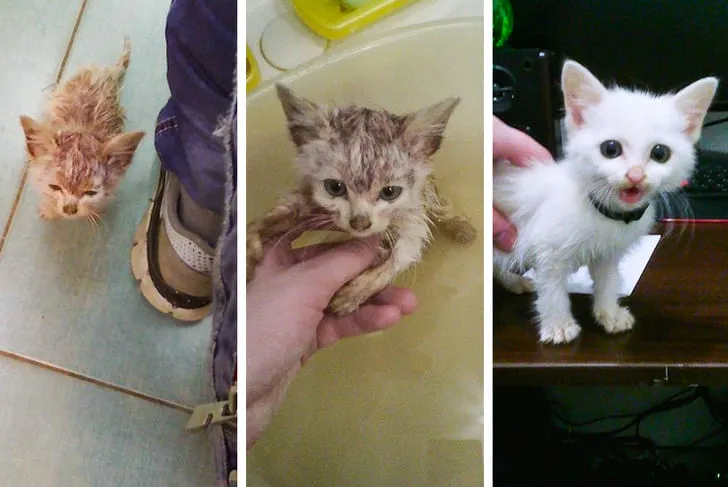 Вот что могут сделать любовь и доброта.