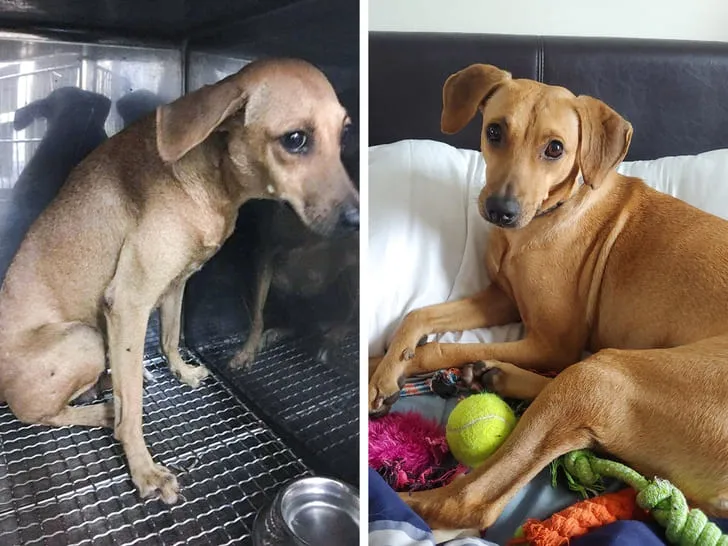 От страха и одиночества к любви и игрушкам.