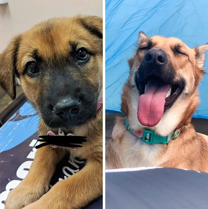 «Год назад я впервые взяла на руки этого парня. С тех пор он не отходит от меня».