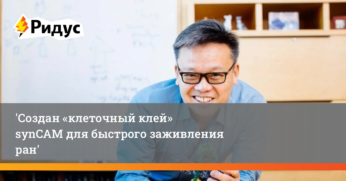 Создан «клеточный клей» synCAM для быстрого заживления ран