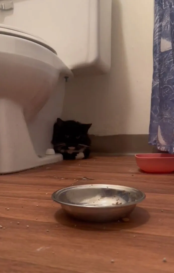 Раньше Варежка боялся всего и всех.