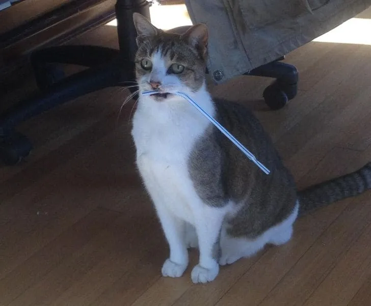 «Она принесла мне трубочку и очень гордится собой».