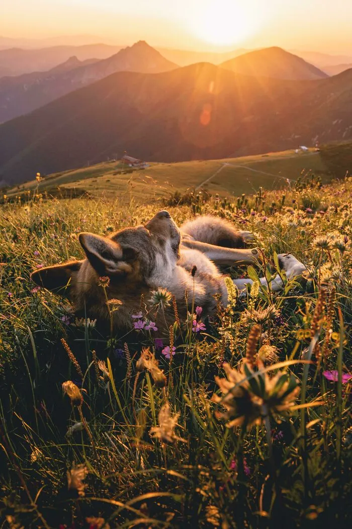 «Если я когда-либо делал хорошее фото, то это именно оно».