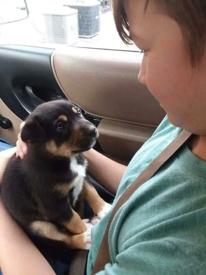 «Этот взгляд, когда вы встречаете своего лучшего друга».