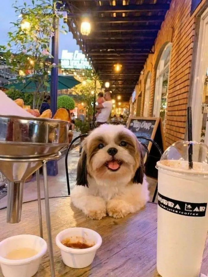 «Лучший день».