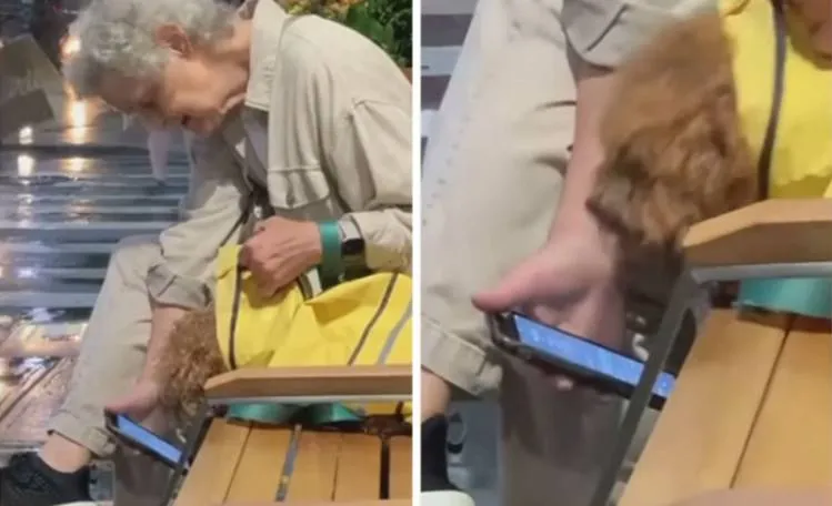 «Эта дама показывает собаке прогноз погоды, чтобы убедить ее, что завтра дождя не будет».