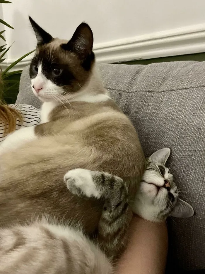 «Я уже обнимала Джони, а потом Нико заревновал и плюхнулся на нее сверху».