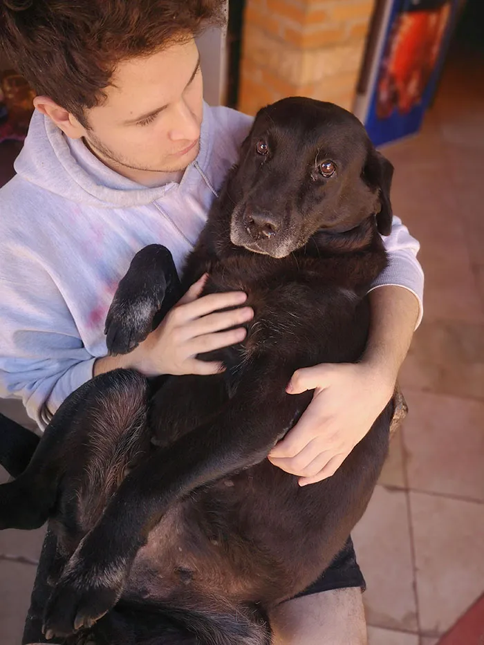 «Наша собака Афина довольно крупная. Но она обижается, когда мы берем на руки только наших маленьких собак, поэтому приходится брать и ее».