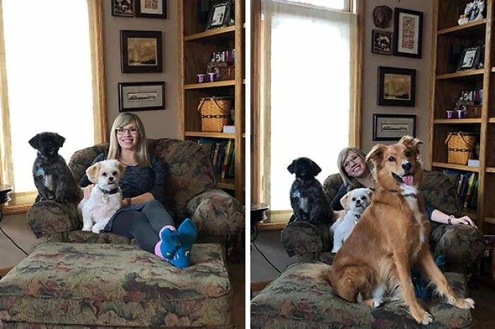 «Собаки моей свекрови так хорошо позировали с моей женой для фото, что заставили ревновать нашу собаку, которая тоже захотела быть в кадре».