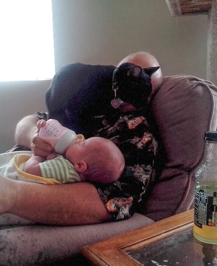 Кто-то явно завидует вниманию, которое привлекает младенец».