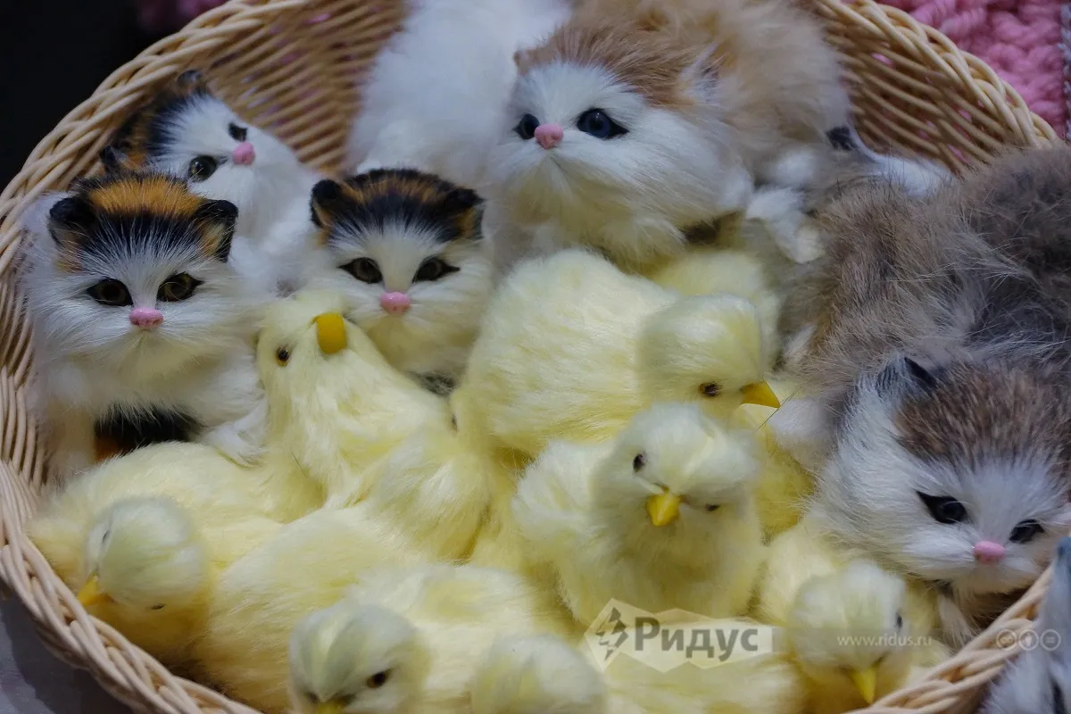 «Искусство куклы» — 2022. 