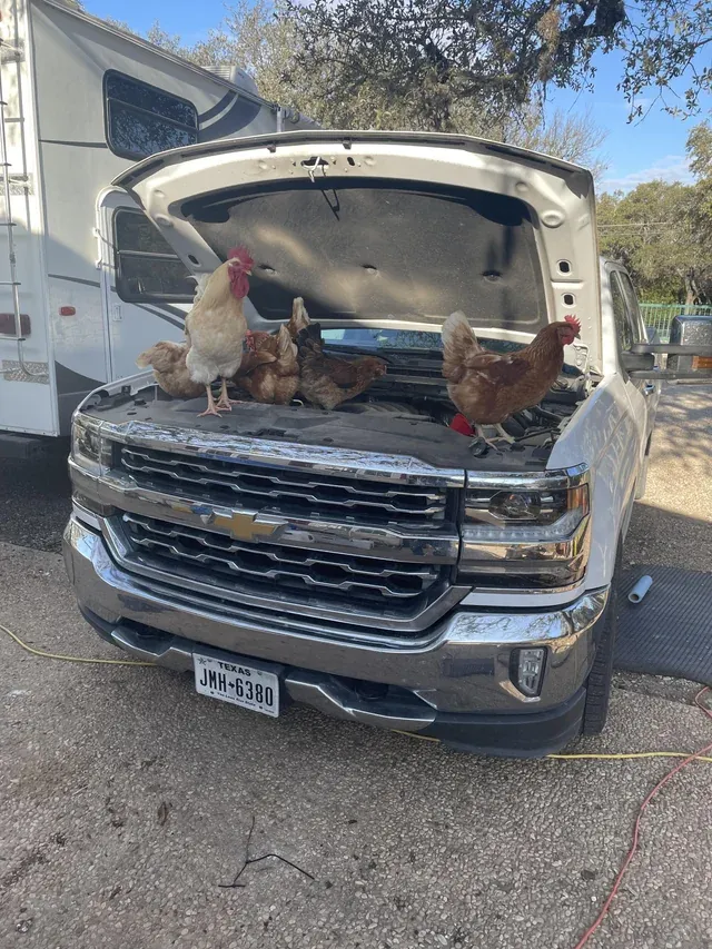 «Команда механиков выполняет некоторые работы на грузовике владельцев».