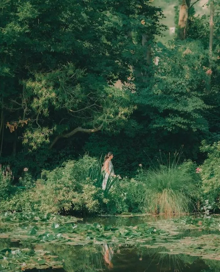 Летние сады.