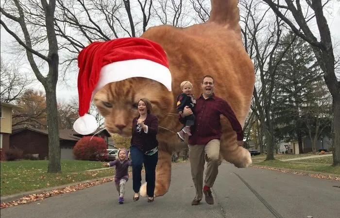 Побег от гигантского рождественского кота.