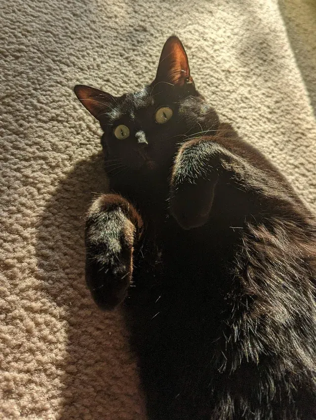 «Мэй заряжает свои солнечные батареи».