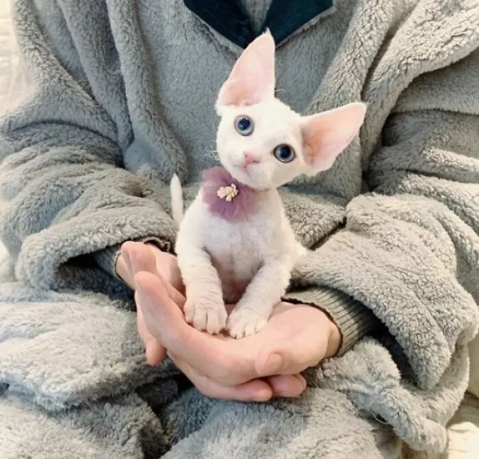 «Опасно быть одному! Возьми это».