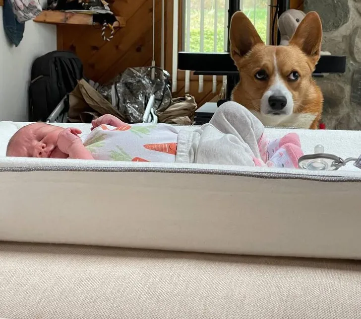 «Я думаю, он только что понял, что ребенок остается навсегда».