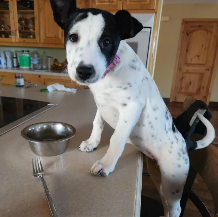 «Она любит завтракать со мной. Она мой лучший друг».