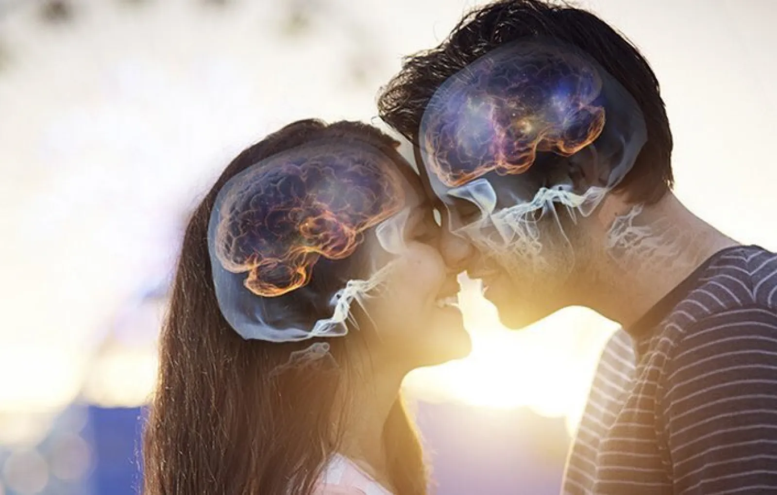 Сексуальное притяжение. Влюбленный мозг. Мозг влюблённого человека. Разум и чувства. Первые чувства влюбленности.