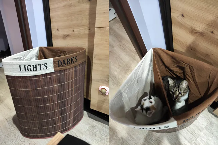 «Сортировка белья».