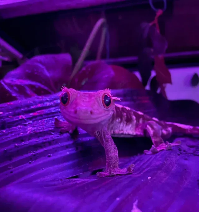 «У него самая милая улыбка».