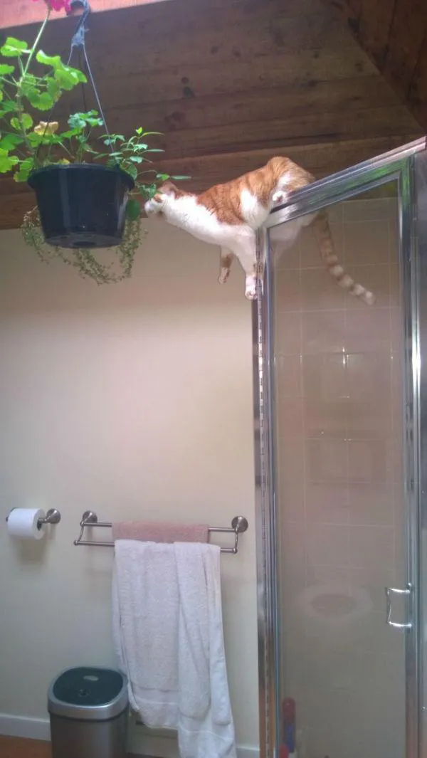 За секунду до эпичного падения.