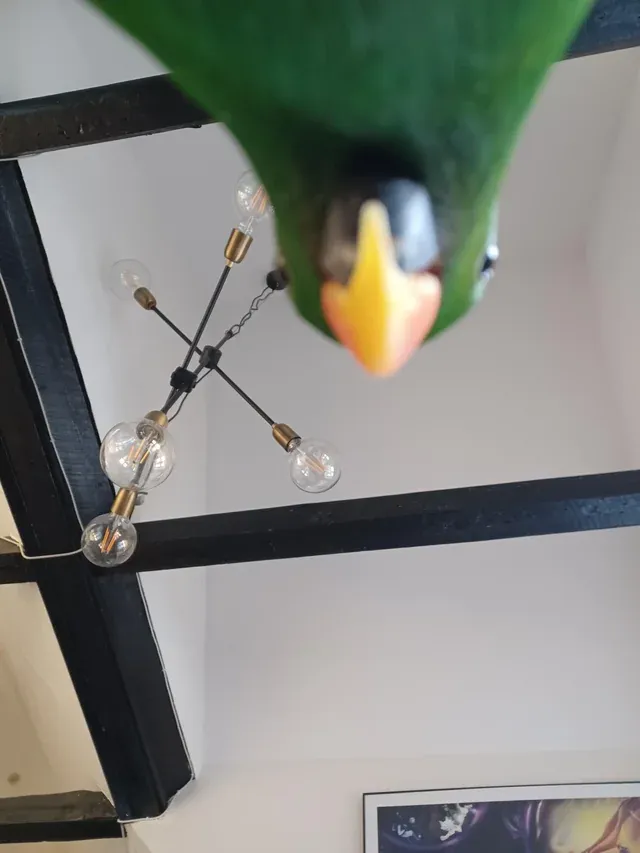 «Вид снизу».