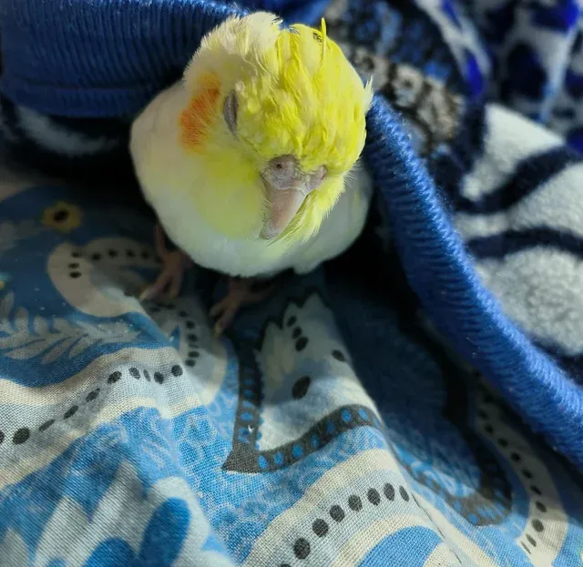 «Я погреюсь немножко?»